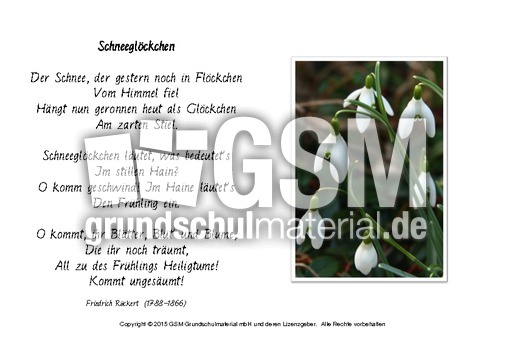 Schneeglöckchen-Rückert.pdf